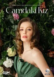 Постер сериала «Девушка за стеклом»