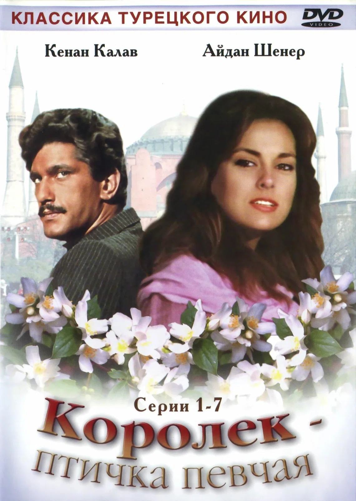 Постер сериала «Королек птичка певчая»