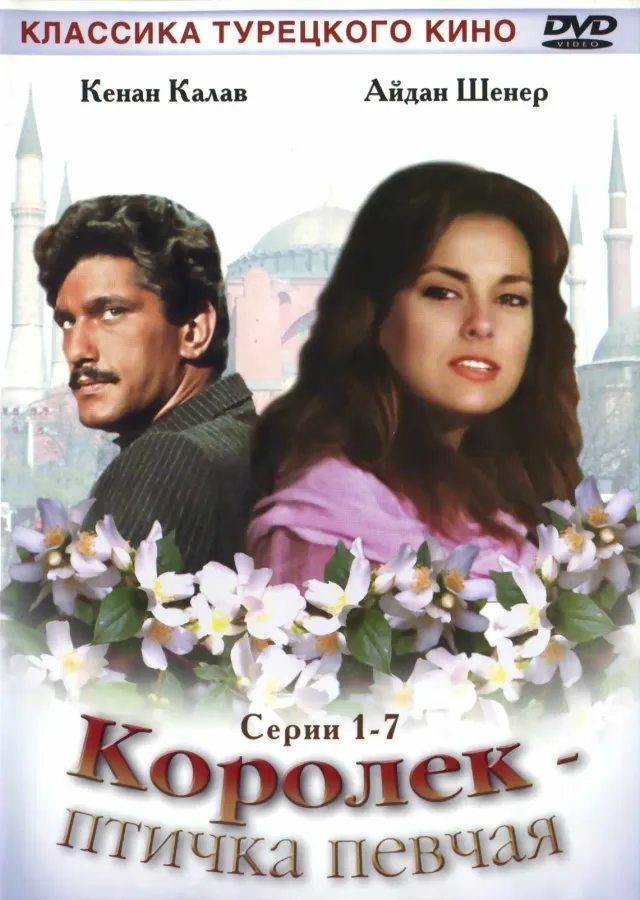 Постер сериала «Королек птичка певчая»