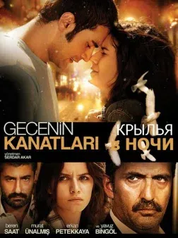 Постер сериала «Крылья ночи»