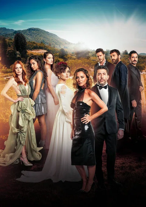 Постер сериала «Любимое прошлое»