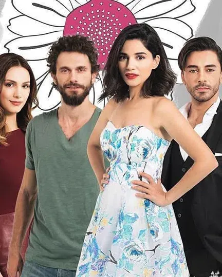 Постер сериала «Любит не любит»
