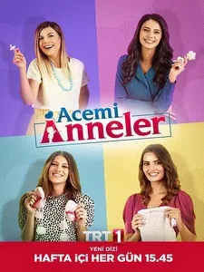 Постер сериала «Неопытные мамы»