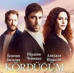 Постер сериала «Петля / узел»