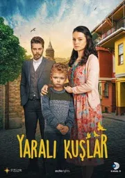 Постер сериала «Раненые птицы»