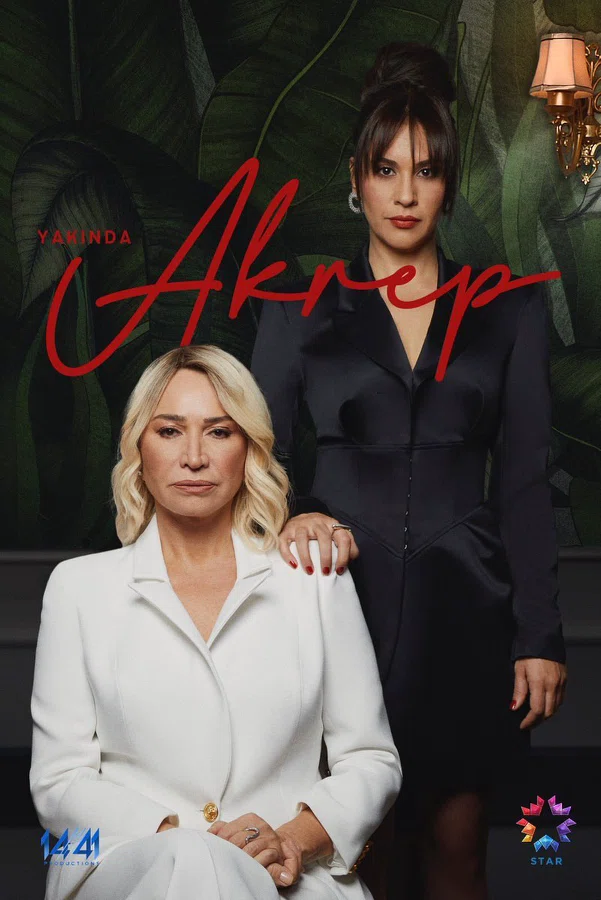 Постер сериала «Скорпион»