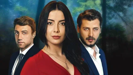 Постер сериала «Сломанные крылья»