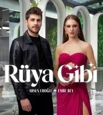 Постер сериала «Словно сон / бархатные наручники»
