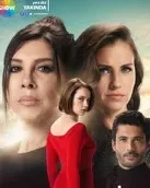 Постер сериала «Враг в моем доме»