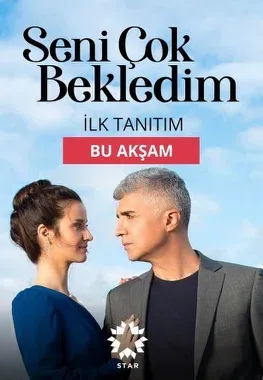 Постер сериала «Я тебя так долго ждал»