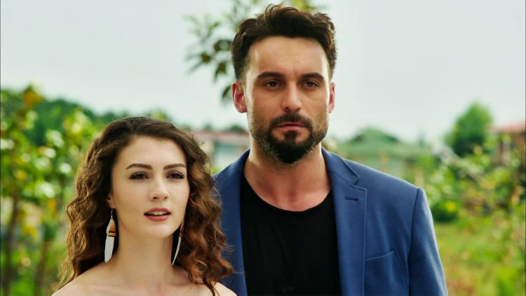 Постер сериала «Замечательный зять»