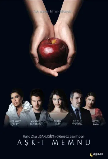 Постер сериала «Запретная любовь»