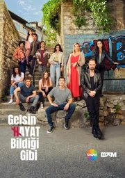 Постер сериала «Жизнь как она есть»